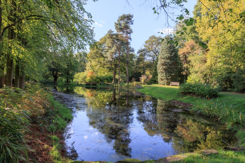 The Lovell Quinta Arboretum